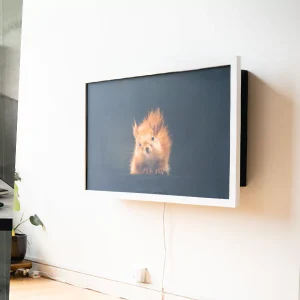 Single Classic Working Test